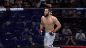 Mixed Martial Arts Sport GIF by UFC