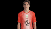 Happy Goal GIF by VfL Wolfsburg