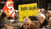 Demonstration GIF by euronews