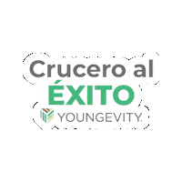 Viaje Premio Sticker by Youngevity Mexico