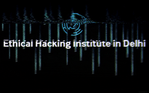 Ethicalhacker11 giphygifmaker giphyattribution ethicalhackingcourseindelhi ethicalhackinginstituteindelhi GIF