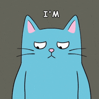 Sorry Cat GIF