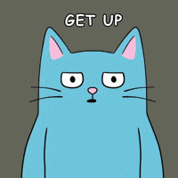 Cat Animation GIF
