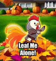 Fall Autumn GIF by Zorooster