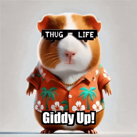 Guinea Pig GIF by Guinea Gambino