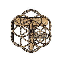 TrancedencyaOfficial trance psy trance trancedencya Sticker