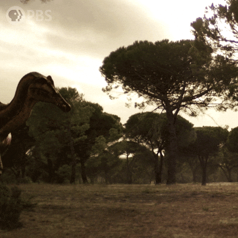 Walking With Dinosaurs Dinosaur GIF by PBS