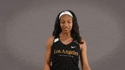 Cal State La Track GIF by Cal State LA Golden Eagles