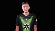 E Sports Sport GIF by VfL Wolfsburg