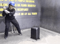 GIF by Good Morning America