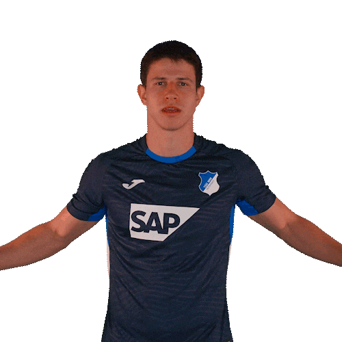 Sport Bundesliga Sticker by TSG Hoffenheim
