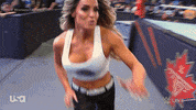 Sport Wwe GIF by USA Network