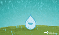 laugh lol GIF by Weather Underground