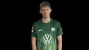 Bundesliga Vflgif GIF by VfL Wolfsburg