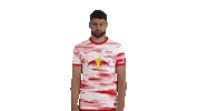Football Was Soll Das Sticker by RB Leipzig