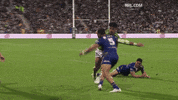 Rugby League Nrl GIF by Canberra Raiders