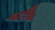 season 9 GIF by SpongeBob SquarePants