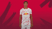 Sport Number GIF by RB Leipzig