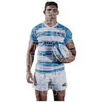 Argentina Rugby Sticker by icbc