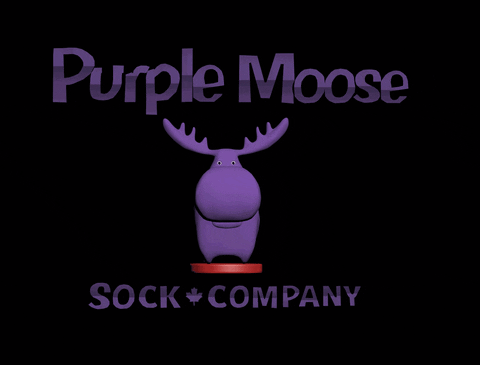 PurpleMooseSockCo giphyupload moose purplemoosesocks mooselow GIF