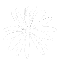 Flower Boho Sticker