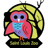 St Louis Halloween Sticker by Saint Louis Zoo