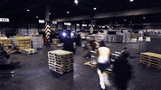 Palibex moustache pale transporte logistica GIF