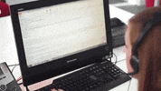Palibex pale transporte logistica camión GIF