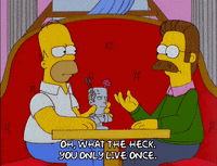 homer simpson episode 10 GIF