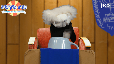 socks wikisocks GIF by Garbaim