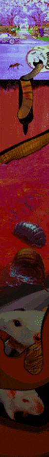 fid0 giphyupload GIF