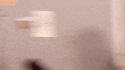 Cheesing GIF by Jomboy Media