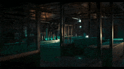 Pimenta GIF by UnionDocs