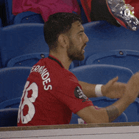 Well Done Yes GIF by Manchester United