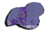 Glitch Motion Sticker by The NGB