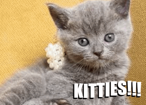 muhammadtalha755e giphygifmaker GIF