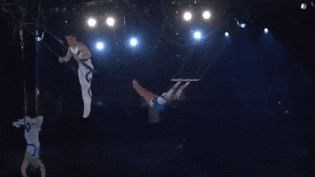Fly Flying GIF by Ringling Bros. and Barnum & Bailey
