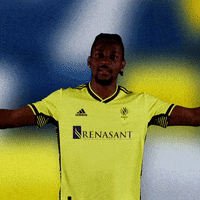 Major League Soccer Football GIF by Nashville SC