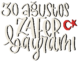Laluz 30 Agustos Sticker
