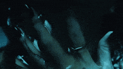 Unfd GIF by unfdcentral