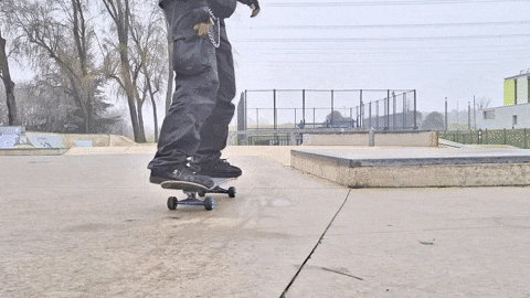 50-50 Rock GIF