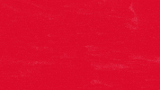 nycDSA dsa solidarity socialism green new deal GIF