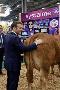 Macron Vache GIF by systaime