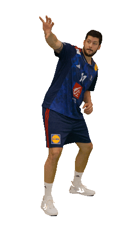 Nicolas Tournat Sticker by Fédération Française de Handball