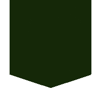 Burger Chips Sticker by Honest Burgers