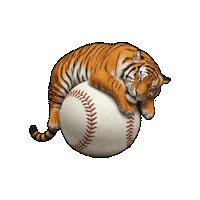 Tiger Sticker