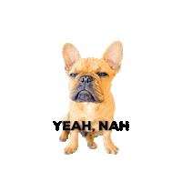 Frenchbulldog Sticker by Two Tibetans Digital