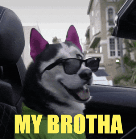 swagrman giphygifmaker dog family bro GIF