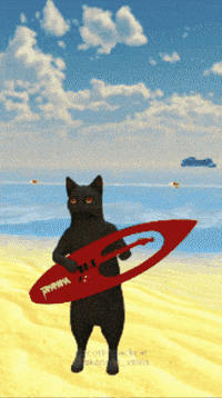 scottnblackcat takanaka scottnblackcat masayoshitakanaka belezapula GIF