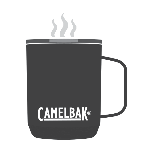 Party Celebrate Sticker by CamelBak